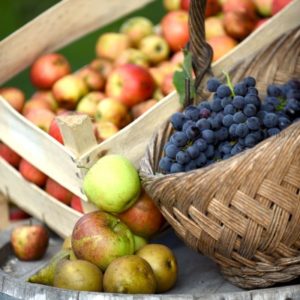 TRTA 45 – Zahvalna nedelja – leto C – 1