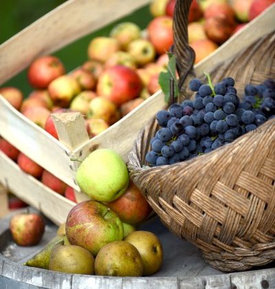 TRTA 45 – Zahvalna nedelja – leto C – 1