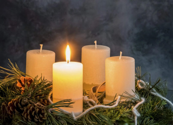 TRTA 48 – Prva adventna nedelja – leto A – 2