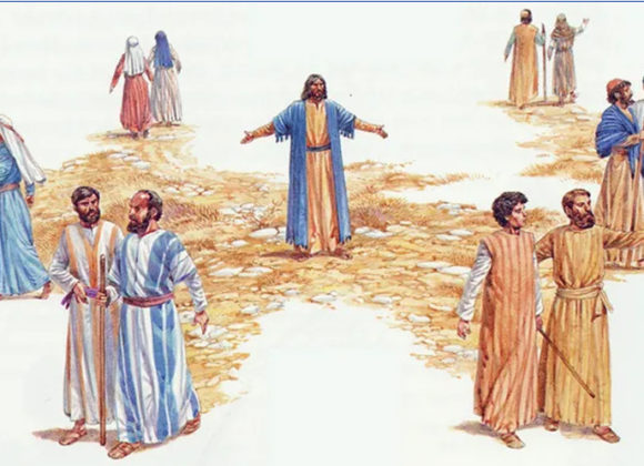 TRTA 24 – 11. nedelja med letom – leto A – 2